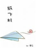 纸飞机中文版
